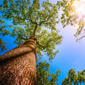 blog-1