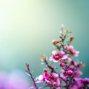 blog-3