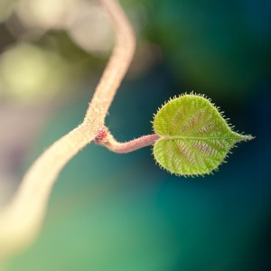 blog-4